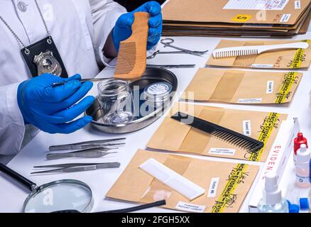 Specialized police take comb hair to take DNA from murder victim, conceptual image Stock Photo