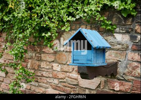 Exterior wooden mailbox with Ivy growing on a stone wall. Stock Photo
