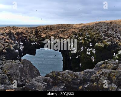 Beautiful view of natural rock arch formed of volcanic basalt on the rough Atlantic coast of Snæfellsnes peninsula, west Iceland near Arnarstapi.