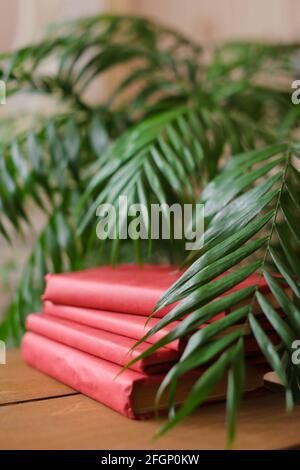 Books in red cover lying on library table near houseplants. Stock Photo