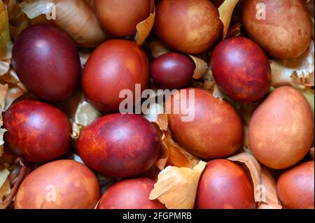 easter eggs painted onion husks. coloring the eggs according to the old natural eco-friendly method with peeled onions Stock Photo