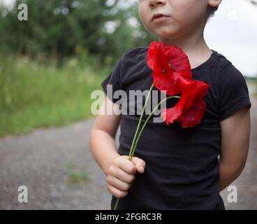 sad toddler boy in a black T-shirt holds two poppy flowers in his hands. Focus on the flower. Reflection on the topic of war. Memorial Day Stock Photo