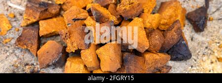 pile pieces of chopped and peeled chaga mushroom birch fungus are stacked on a wooden stump background. step by step. banner Stock Photo