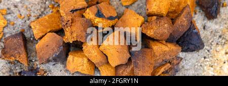 pile pieces of chopped and peeled chaga mushroom birch fungus are stacked on a wooden stump background. step by step. banner Stock Photo