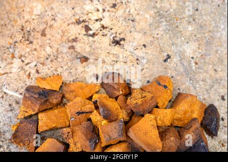 pile pieces of chopped and peeled chaga mushroom birch fungus are stacked on a wooden stump background. step by step Stock Photo