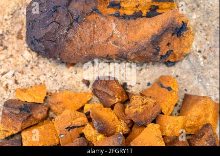 pile pieces of chopped and peeled chaga mushroom birch fungus are stacked on a wooden stump background. step by step Stock Photo