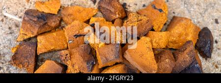 pile pieces of chopped and peeled chaga mushroom birch fungus are stacked on a wooden stump background. step by step. banner Stock Photo