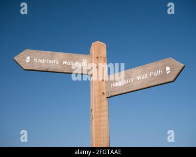 A new wooden sign post on the Hadrian's Wall Path on the Solway Coast, Cumbria, UK, isolated against a clear blue sky with no clouds. Stock Photo