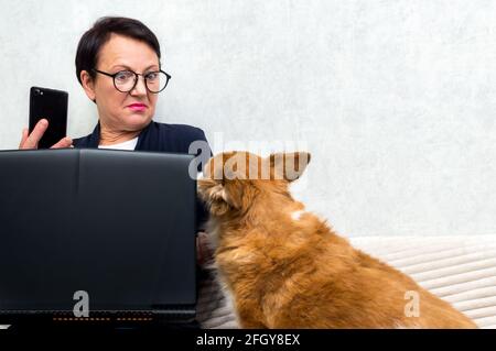 Portrait of senior woman ussing smartphone and computer while sitting on sofa with her dog Stock Photo