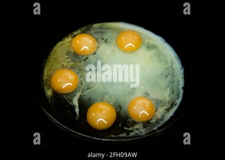 5 fried eggs in the pan Stock Photo