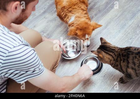 owner feeds the dog and the cat together. Two empty bowls. Kitchen. Close-up. Pet food concept Stock Photo