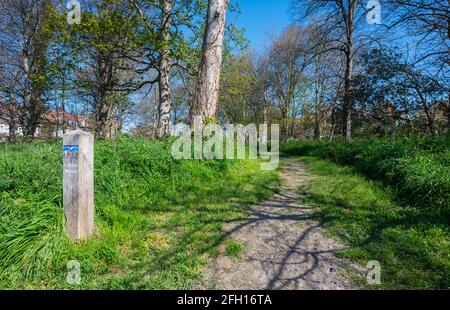 Path through Lobb's Wood in Spring in Littlehampton, West Sussex, England, UK. Stock Photo