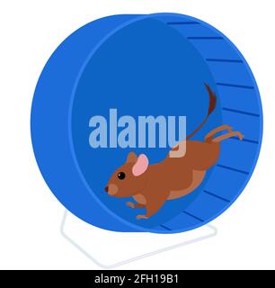 Degu running in whell isolated on white. Cartoon pet degus, brush-tailed rat vector illustration. Stock Vector