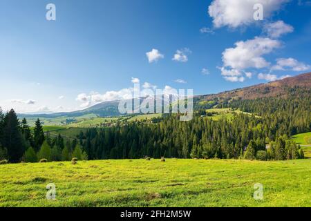 countryside landscape of carpathian mountains. wonderful nature scenery in spring time. fluffy clouds on the sky. village in the distant valley Stock Photo