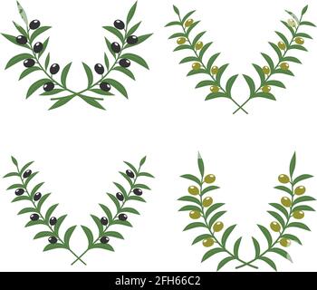 Olive branch wreaths vector isolated on white background. Illustration of crossed olive branches Stock Vector