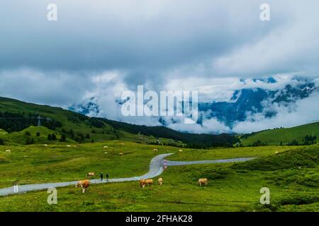 The place called Grindelwald in Switzerland Stock Photo