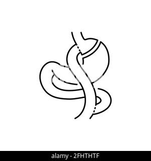Gastric bypass (Roux-en-Y) olor line icon. Pictogram for web page, mobile app, promo. UI UX GUI design element. Editable stroke. Stock Vector