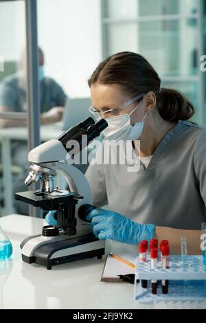 Concentrated female virologist in protective goggles and latex gloves sitting at desk in laboratory and learning cells under microscope Stock Photo