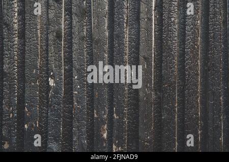 Black wooden texture background of burned wood. Wood texture after fire Stock Photo