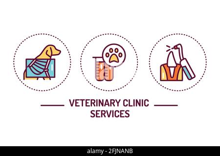 Veterinary clinic services color line icons concept. Isolated vector element. Outline pictograms for web page, mobile app, promo. Stock Vector
