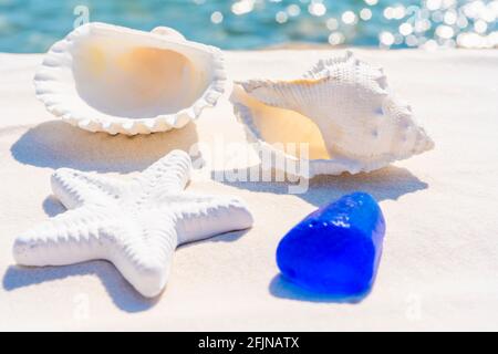 Sea shells, starfish and blue stone on a white sand and blue water background, space for text. Summer beach. Seashell on the sand. High quality photo Stock Photo