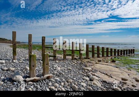 Wooden Groyne on the Eastbourne seafront at low tide Stock Photo