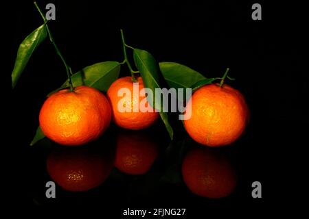 three mandarins with leaves isolated on black with reflection Stock Photo