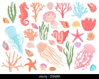 Ocean elements. Cartoon seaweeds, corals, seashells and reef animals. Sea starfish, seahorse and jellyfish. Nautical decorative vector set Stock Vector