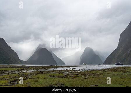 Magnificent panoramic view of Milford Sound during rainy weather, South Island of New Zealand Stock Photo