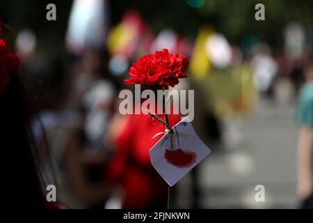 Lisbon, Portugal. 25th Apr, 2021. A red carnation is seen during a parade to mark the 47th anniversary of the Carnation Revolution amid the COVID-19 pandemic in Lisbon, Portugal, on April 25, 2021. Credit: Pedro Fiuza/ZUMA Wire/Alamy Live News Stock Photo