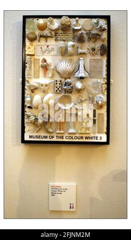 Sir PeterBlake exhibiting at the London institute galary in London.in pic The Museum of the colour White (3) pic David Sandison 10/11/2003 Stock Photo