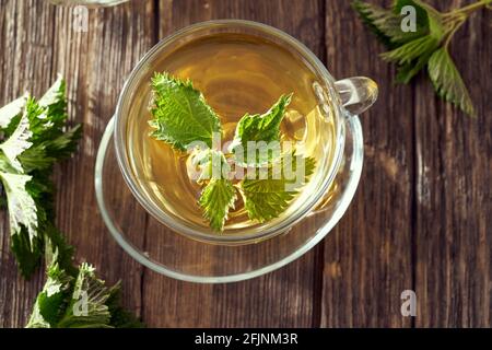 A cup of nettle tea with fresh herbs, top view Stock Photo