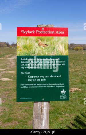 A Skylark Protection Area notice asking visitors not to walk in the grass area in Richmond Park, London, UK. Stock Photo