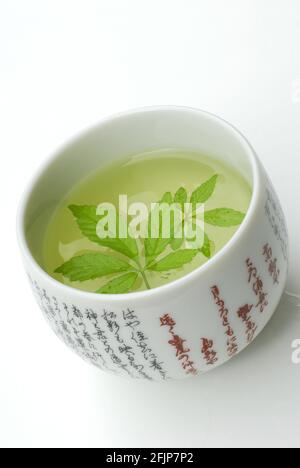 Cup of Jiao-gu-lan tea, Jiaogulan, female ginseng, immortality herb ...