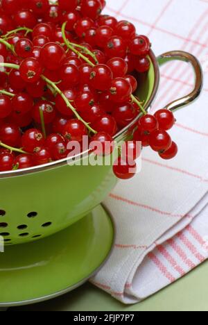 Redcurrants (Ribes rubrum) in drainer, strainer Stock Photo
