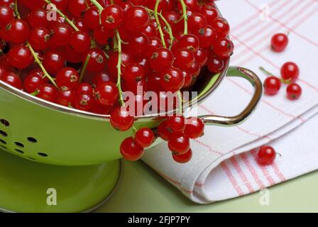 Redcurrants (Ribes rubrum) in drainer, strainer Stock Photo