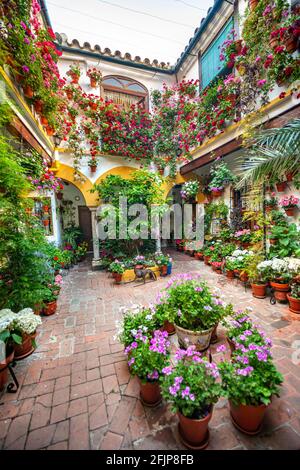 Patio decorated with flowers, geraniums in flower pots on the house wall, Fiesta de los Patios, Cordoba, Andalusia, Spain Stock Photo