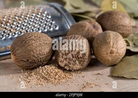 Nutmegs (Myristica fragrans), nutmeg grater, nutmeg grater, nutmeg plants (Myristicaceae) Stock Photo