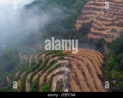 Aerial drone image of Deforestation. Aerial drone footage of rain forest (rainforest) destroyed to make way for oil palm plantations Stock Photo