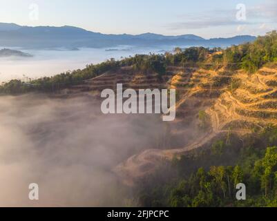 Aerial drone image of Deforestation. Aerial drone footage of rain forest (rainforest) destroyed to make way for oil palm plantations Stock Photo