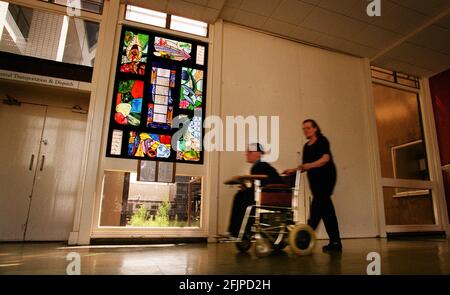 Window on Life....A novel collaboration between research scientist Dr. Jim Cohen and stained glass artist Carole Nunes and commissioned by Guys and St Thomas Charitable Trust has led to the creation this striking stained glass window, on the theme of Evolution and Developmental Biology being unveiled tonight in the north wing corridor at St Thomas Hospital, London. Stock Photo