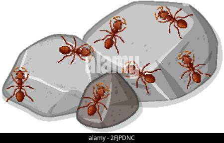 Top view of many many red ants on stones illustration Stock Vector