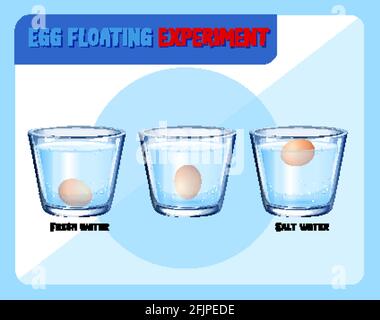 Science experiment with egg float test illustration Stock Vector