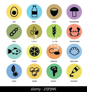 Large set of icons with the main allergens in food Stock Vector