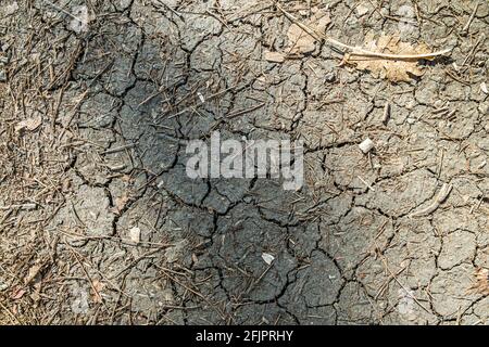 Brown dry cracked ground with dried old leaves. Dried clay texture and patterns cracked surface of clay and land. Stock Photo