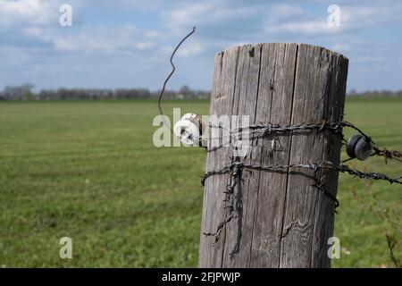 Close up of an old weathered wooden post with barbed electric fence wire wrapped around it in a green pasture landscape with blue sky and sun Stock Photo