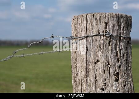 Close-up of an old weathered wooden post with barbed wire wrapped around it in a green pasture landscape with blue sky and sun Stock Photo