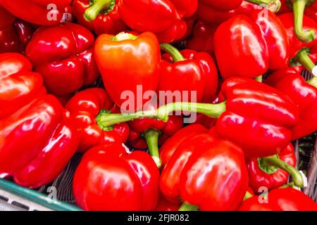 Nigerian Bell Peppers on display in supermarket Stock Photo - Alamy