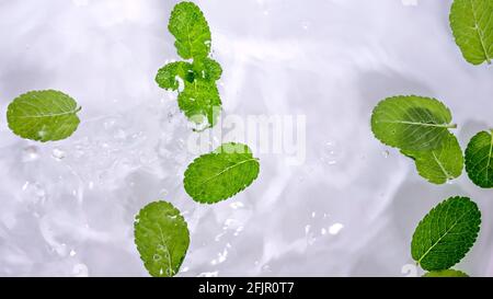 Mint leaves on the water surface with bubbles and splashes. Stock Photo