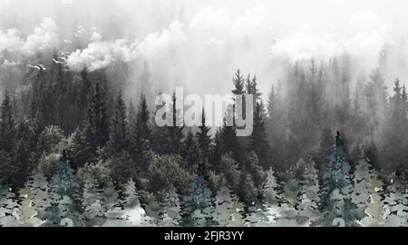 3d mural illustration drawing landscape forest tree wallpaper . white clouds and birds simple modern background for canvas wall decorative Stock Photo